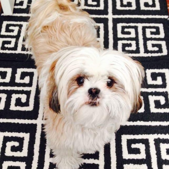 Meet your Posher, Sher - Picture 7 of 13